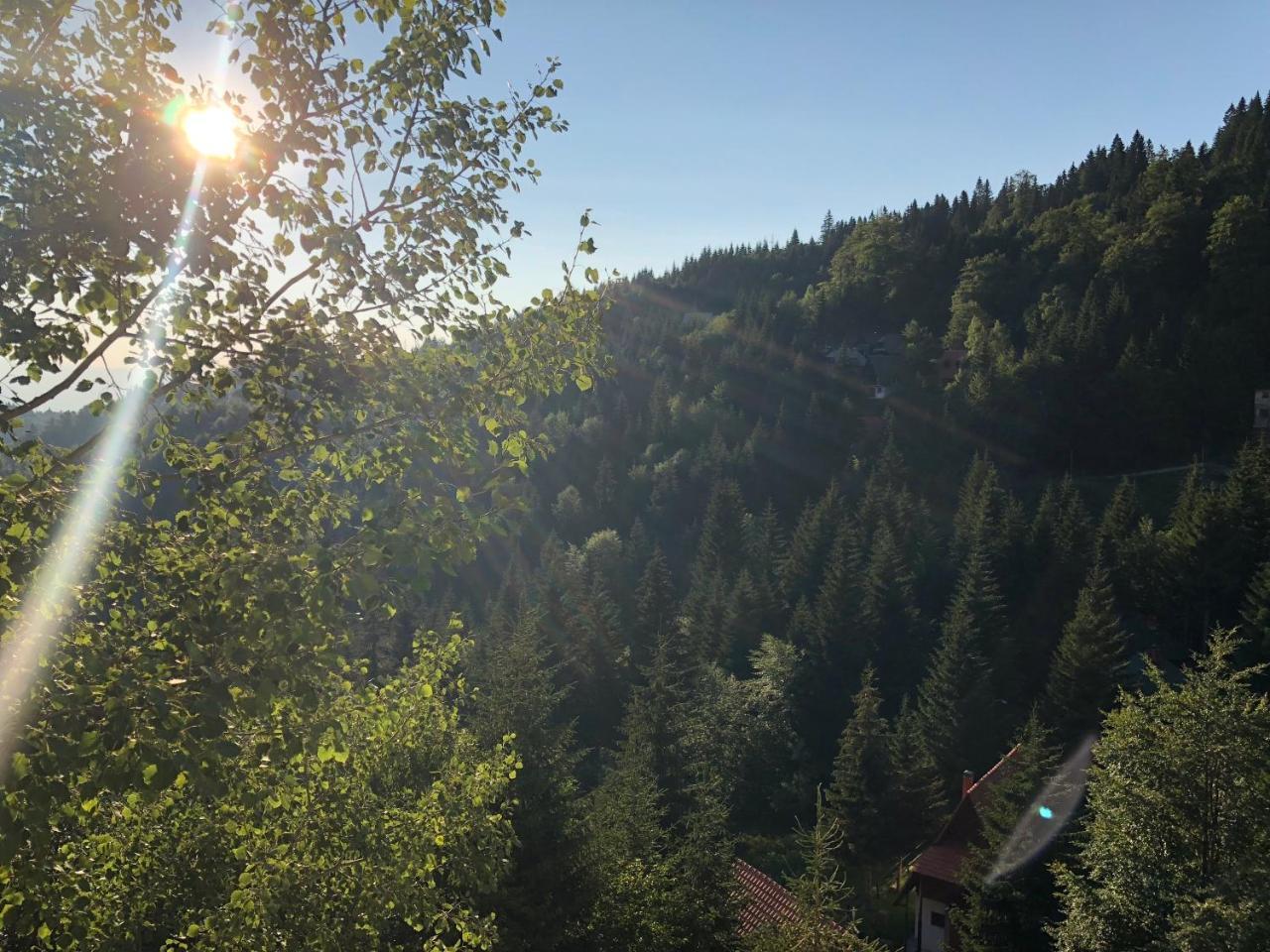 Apartament Stara Bacija Kopaonik Zewnętrze zdjęcie
