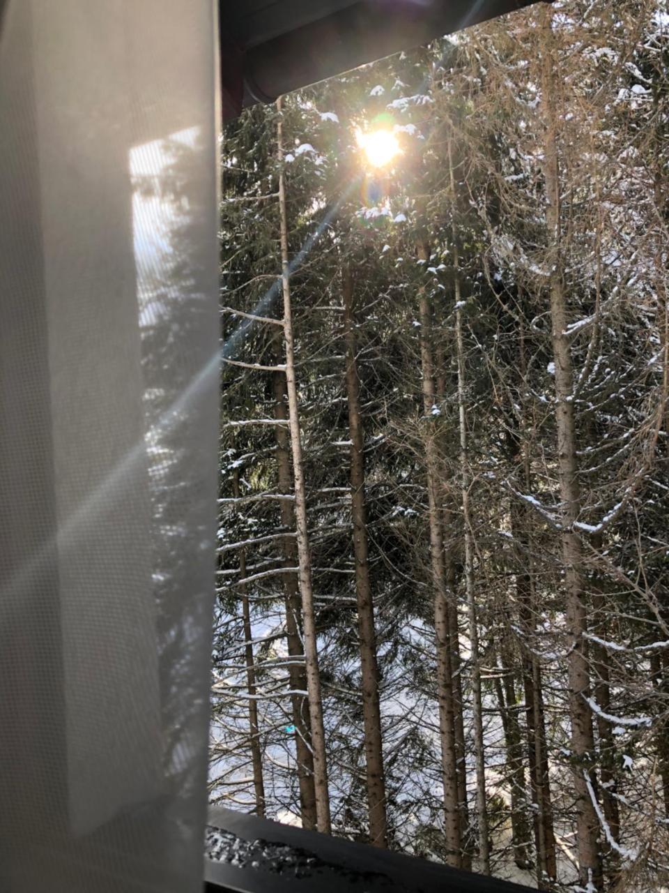 Apartament Stara Bacija Kopaonik Zewnętrze zdjęcie
